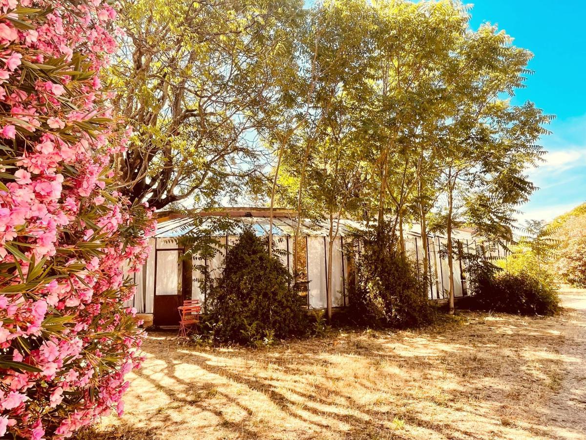 Tres Belle Rotonde Deco Boheme, Tennis, Parking Nimes Exterior photo